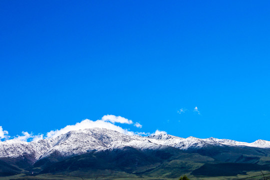 草原雪山