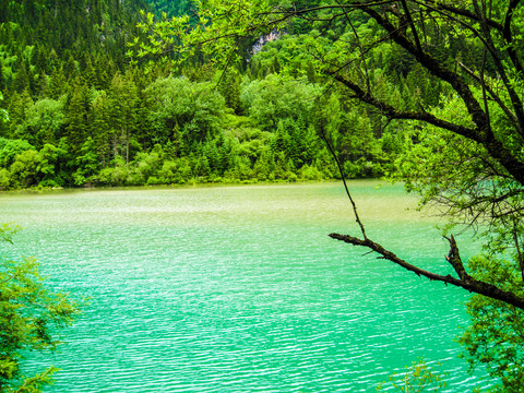 美丽的四川九寨沟