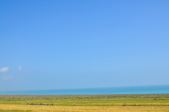 美丽的青海湖