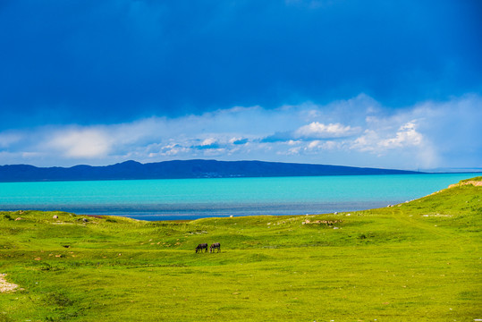 青海湖