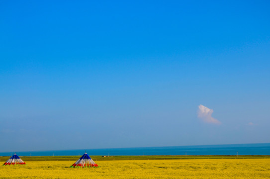 青海湖