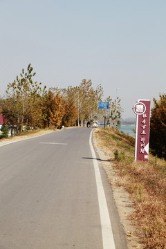 银杏古道邳州路