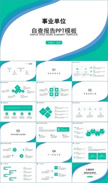 商務(wù)簡約事業(yè)單位自查報告PPT