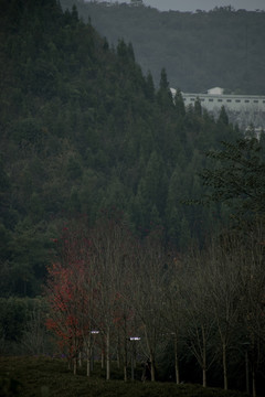 兴义贵州醇风景区