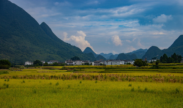 万峰林田园风光