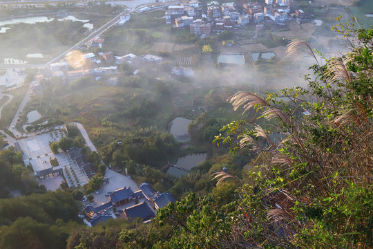 冠豸山下