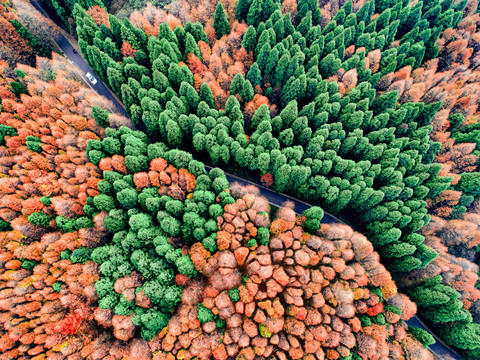 航拍山王坪风光