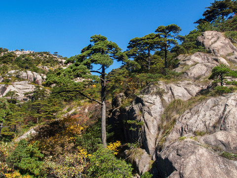 安徽黄山风景区