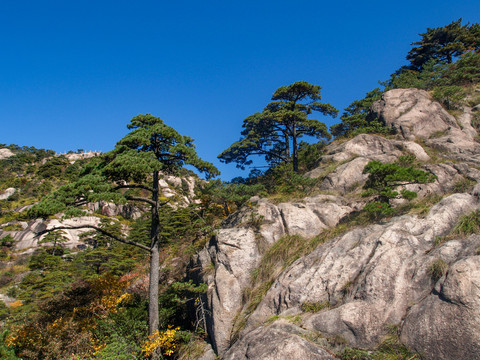 安徽黄山风景区