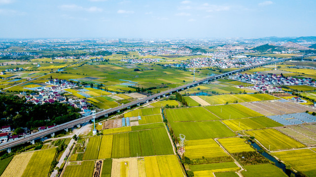 丰收的田野