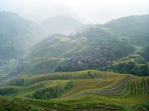 龙胜梯田