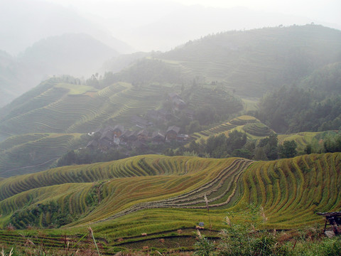 龙胜梯田