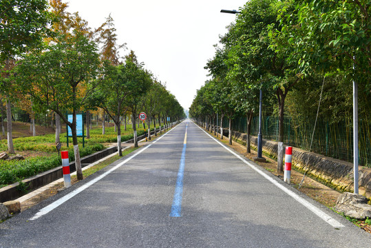 乡村公路