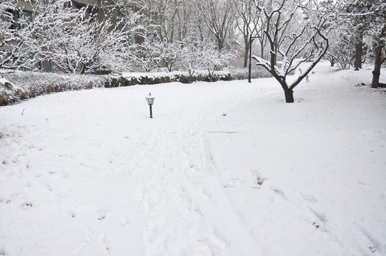 雪后园林风光