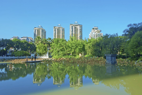 茶亭公园湖滨景色
