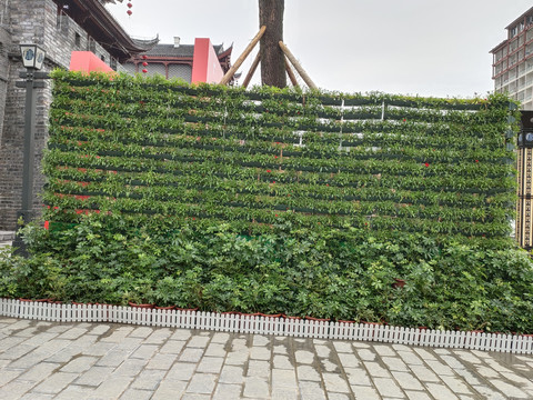 绿植背景墙大图