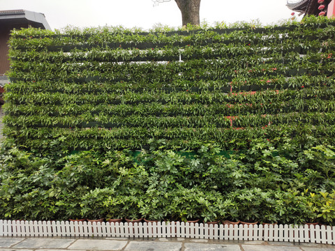 绿植背景墙与白栏杆