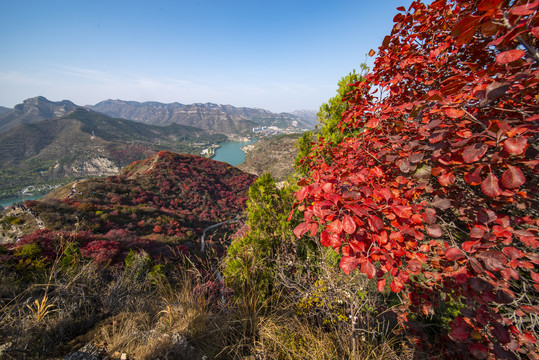 天赐山风光