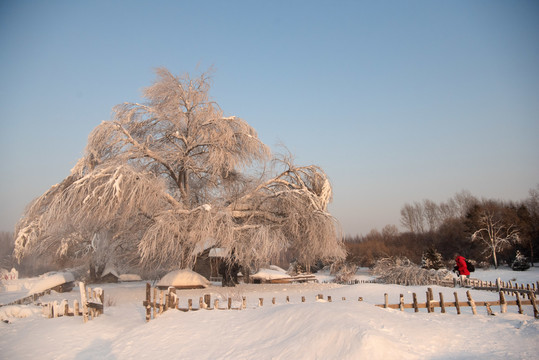 都市雪乡