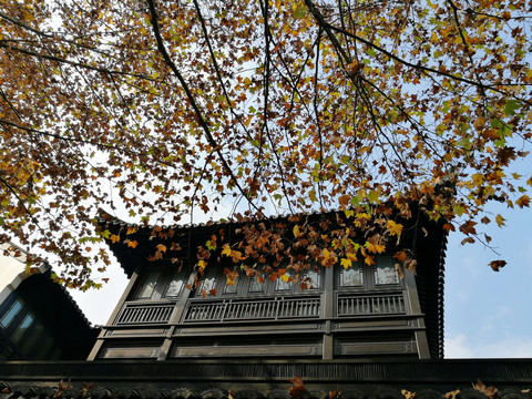 秋色下的中式园林建筑