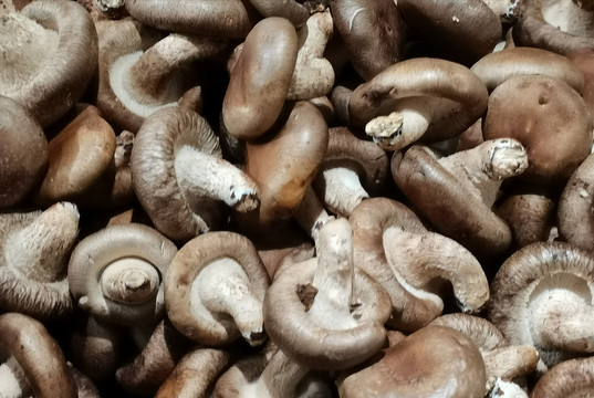 超市内供应的新鲜菌类香菇