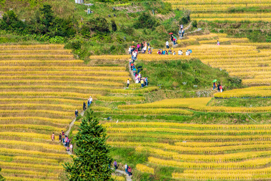 龙脊旅游