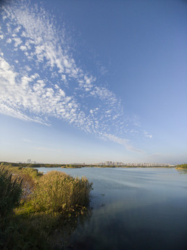 秋日贡湖湾湿地18