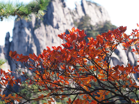 安徽黄山风景区