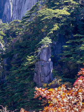 安徽黄山风景区