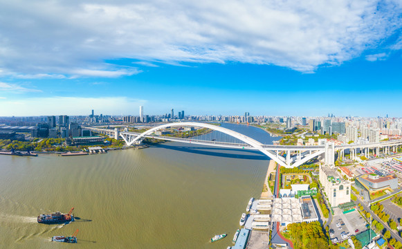 上海黄浦江卢浦大桥城市风光