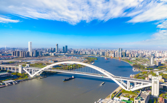 上海黄浦江卢浦大桥城市风光