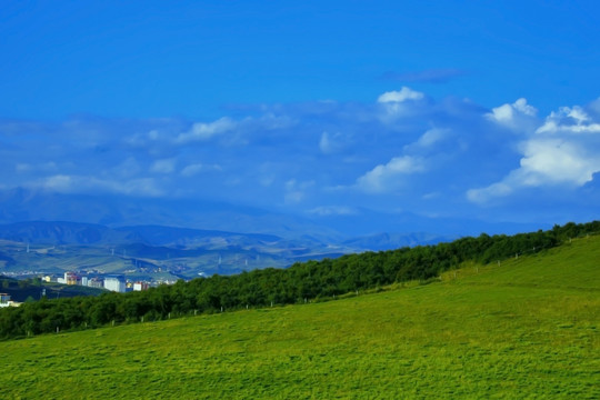 草原风光