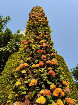 菊花展造型