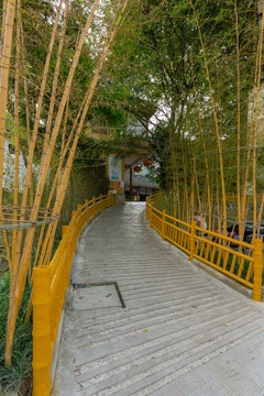 竹林道路与农家院