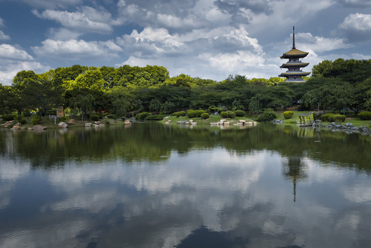 中国湖北武汉东湖磨山樱园樱花