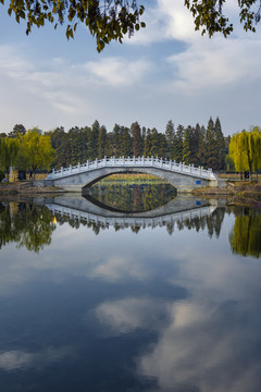 中国湖北武汉东湖碧潭观鱼风景区