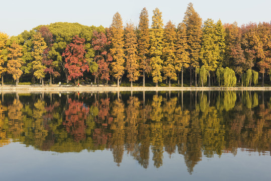 中国湖北武汉东湖碧潭观鱼风景区