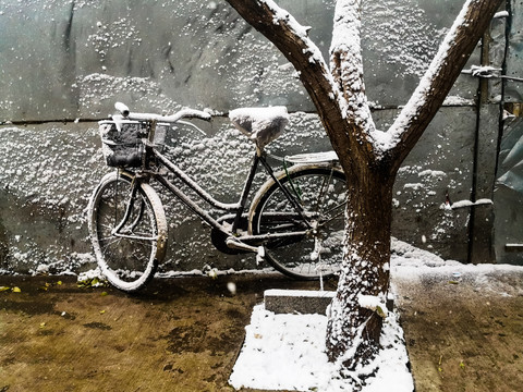 下雪自行车树