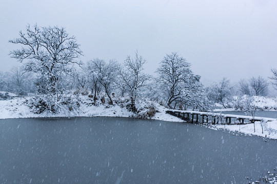 西溪雪韵