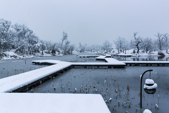 西溪雪韵