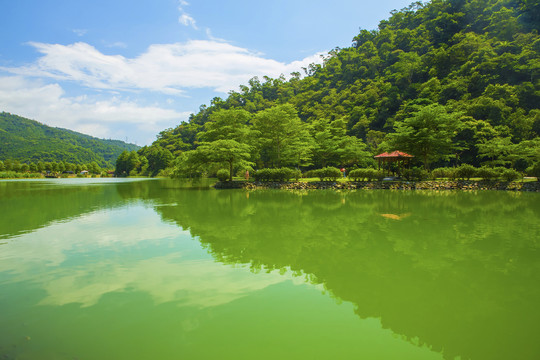 宜兰乡村湖泊