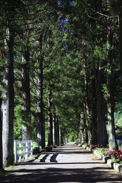 雪帕国家公园美景