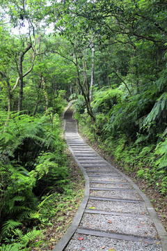 台北市登山小径