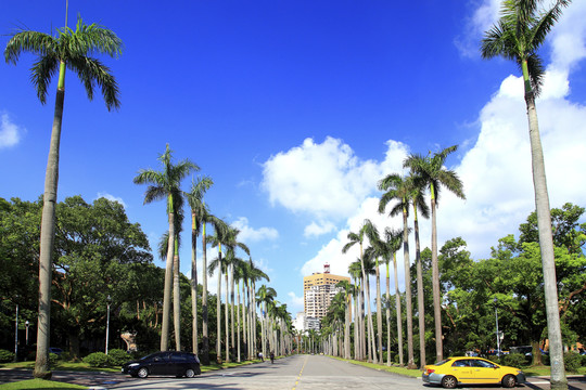 台湾旅游摄影