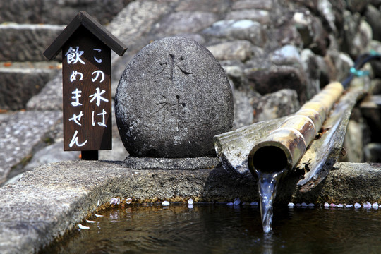 日本旅行摄影