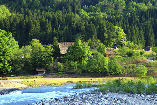 日本旅行摄影