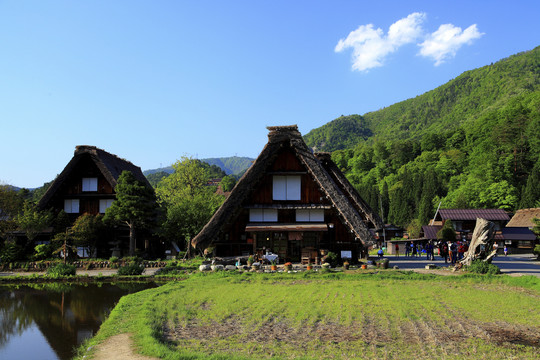 日本旅行摄影