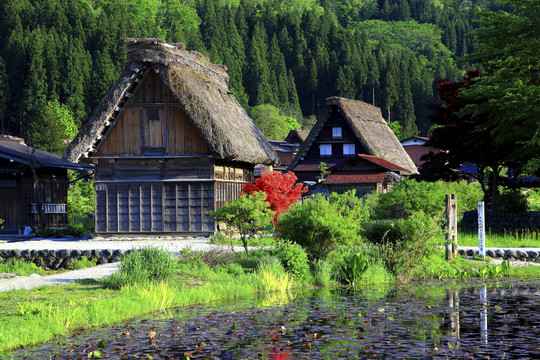 日本旅行摄影