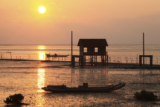 沿海牡蛎养殖区