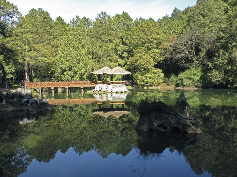 阿里山森林公园